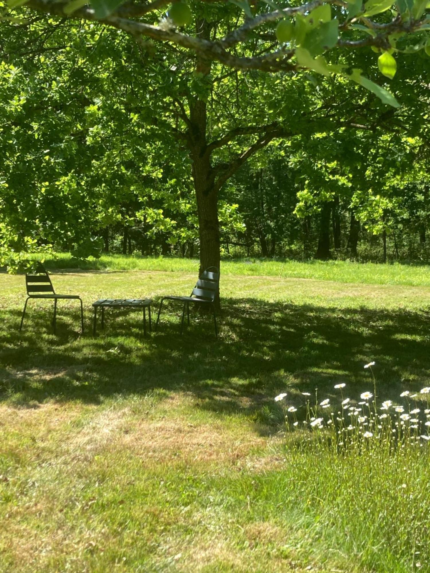 Les Bois De Ravel Chambres D'Hotes 외부 사진