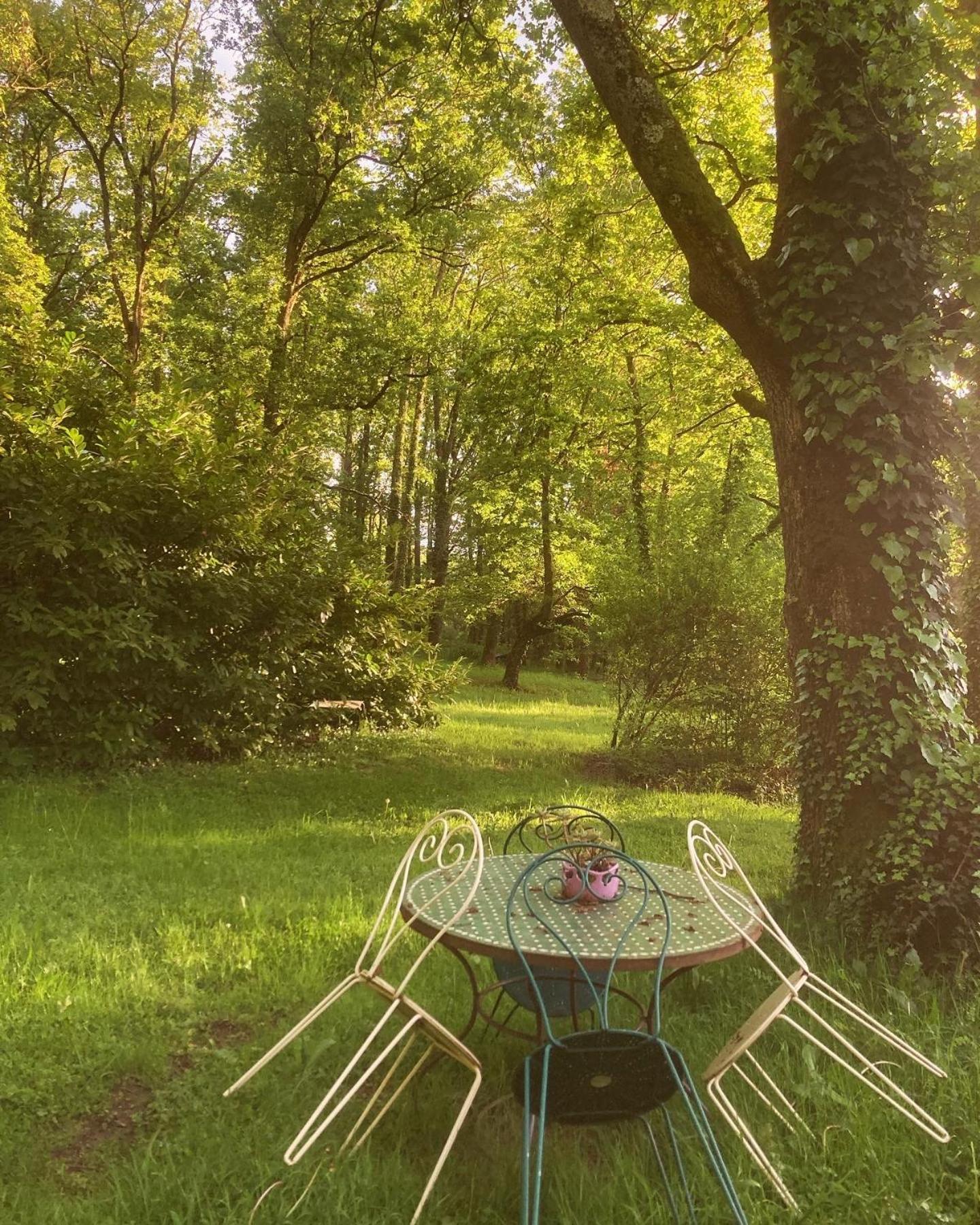 Les Bois De Ravel Chambres D'Hotes 외부 사진